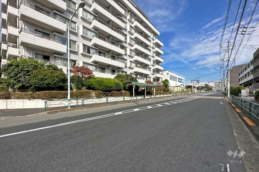 敷地南側の前面道路（西側から）