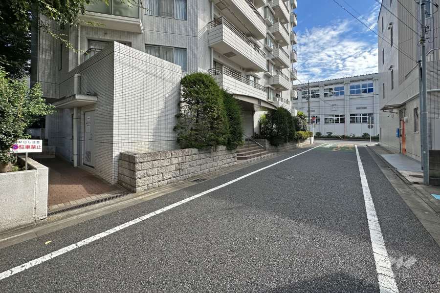 敷地西側の前面道路（北側から）