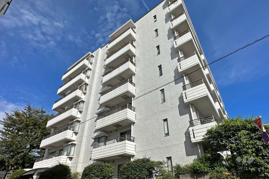 八幡山パークハウスの外観（南西側から）