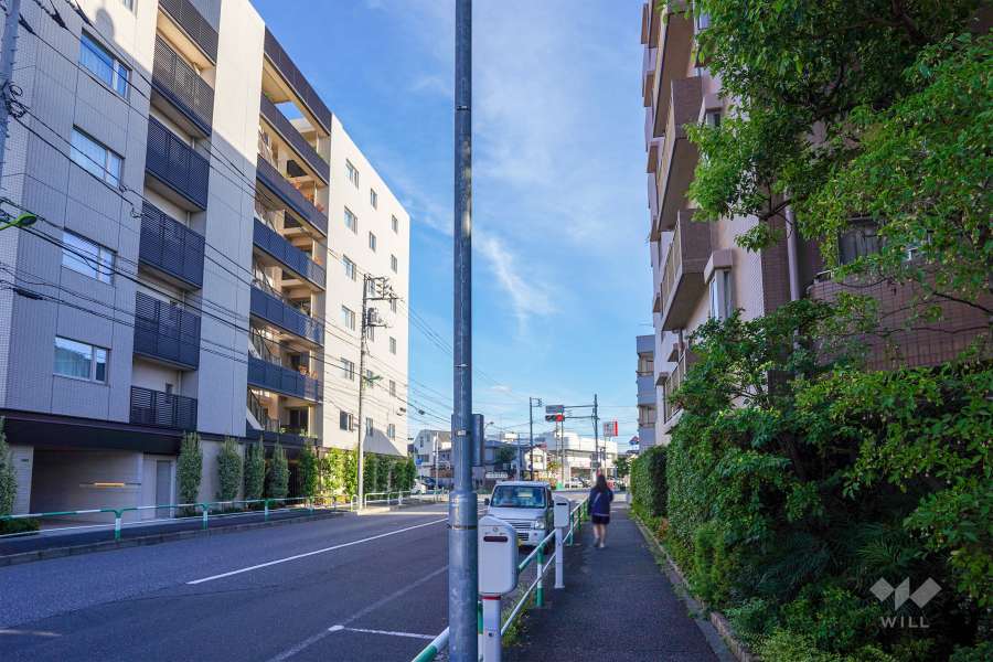 敷地東側の前面道路（北側から）