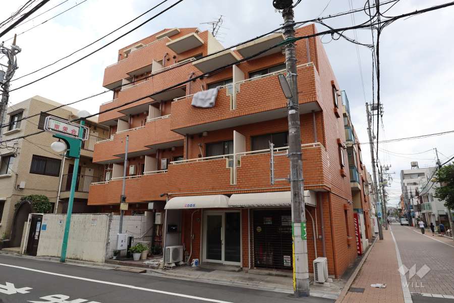 スカイコート尾山台の外観(東側から)