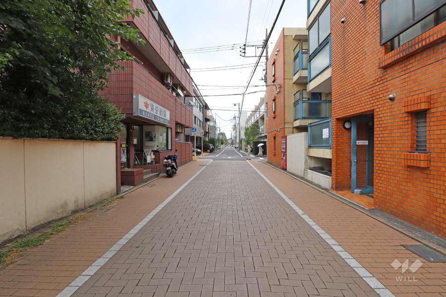 敷地北側の前面道路(西側から)