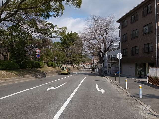 敷地の西側前面道路。