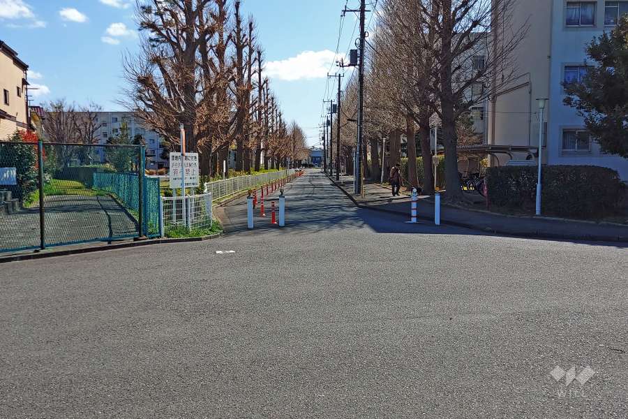 敷地東側の前面道路(北側から)