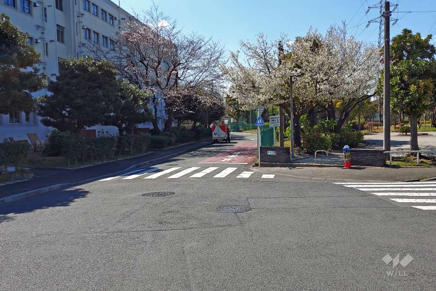 敷地北側の前面道路(東側から)