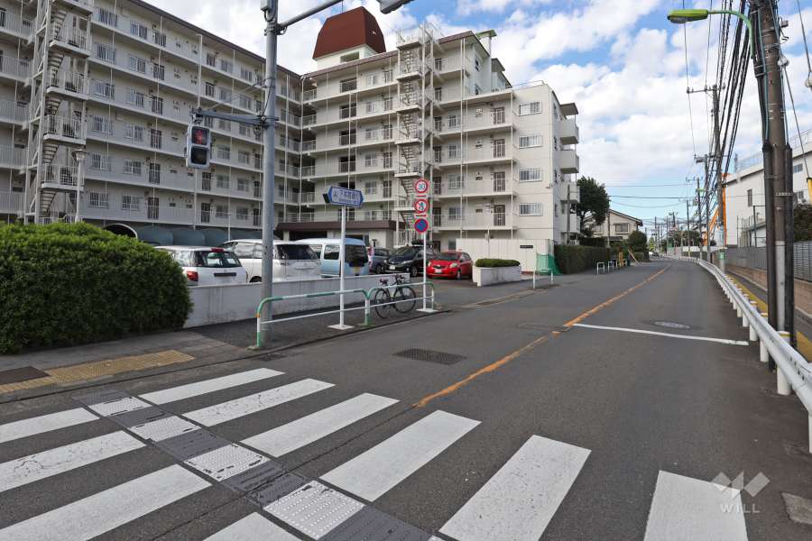 敷地北側の前面道路（東側から）