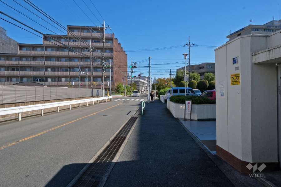 敷地北側の前面道路（西側から）