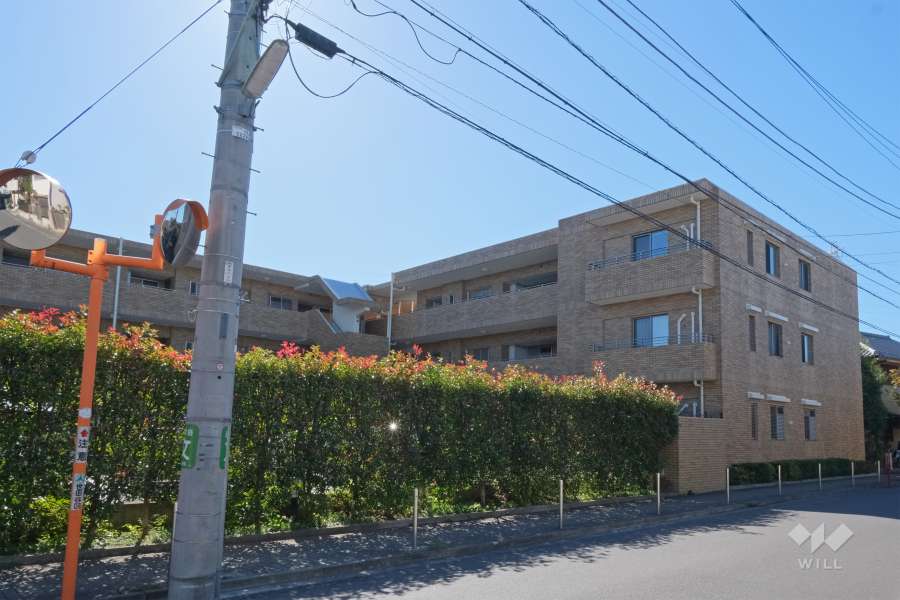 パルテール富士見ヶ丘の外観（北側から）