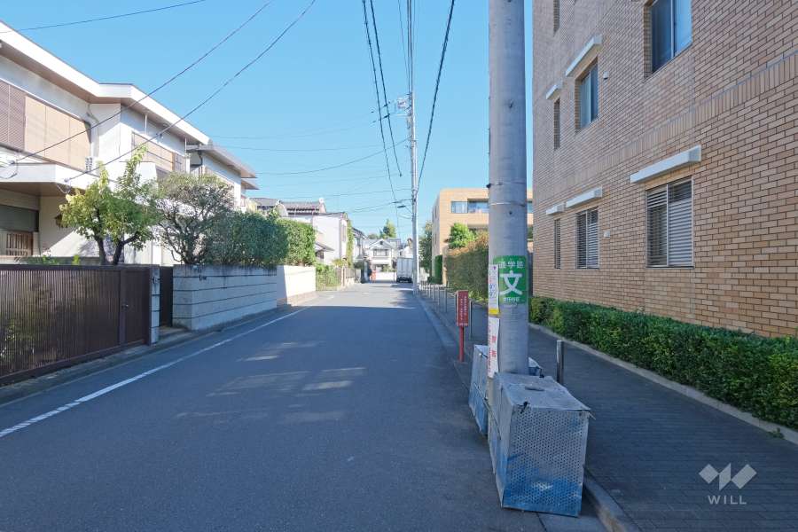 敷地の北側前面道路（西側から）
