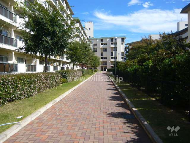 両側に植栽スペースが設けられた敷地内の通路