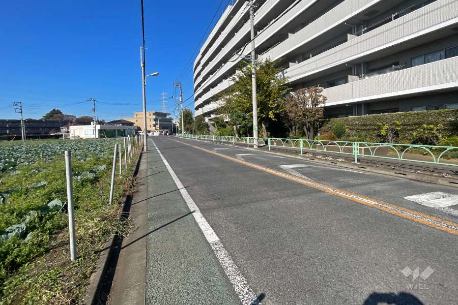 敷地南西側の前面道路（南東側から）