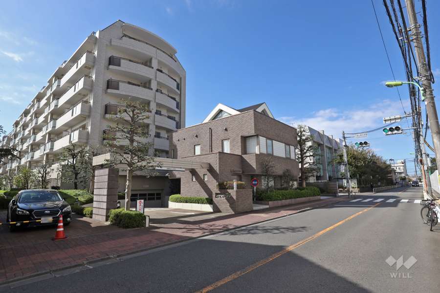 敷地北側の前面道路