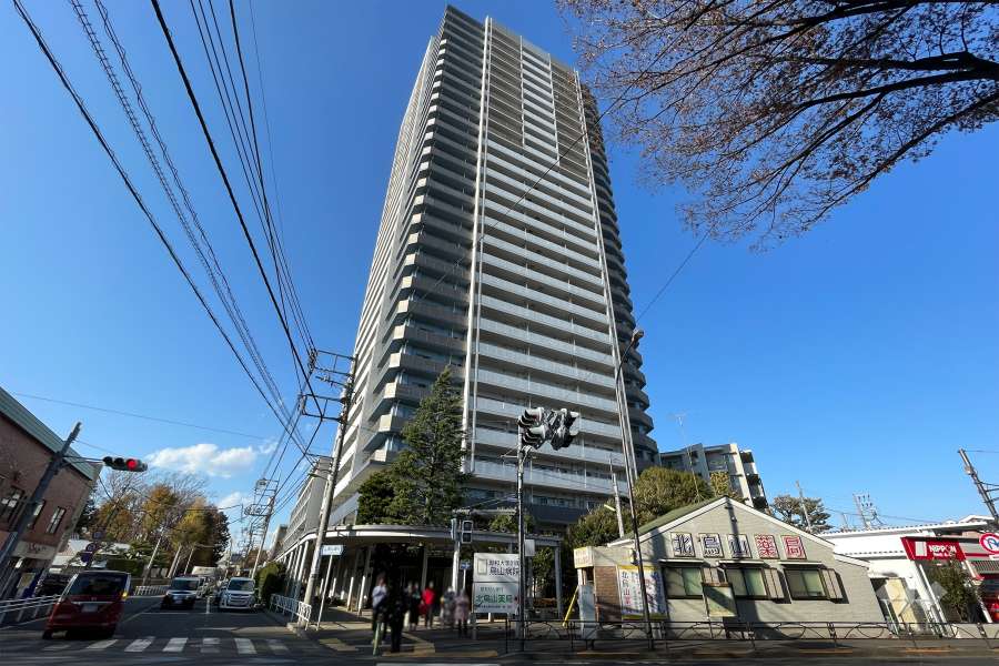 エルザ世田谷ザタワーの外観（南東側から）