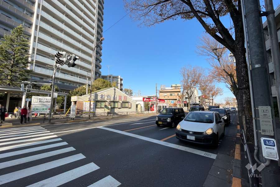 敷地南東側の前面道路（南西側から）