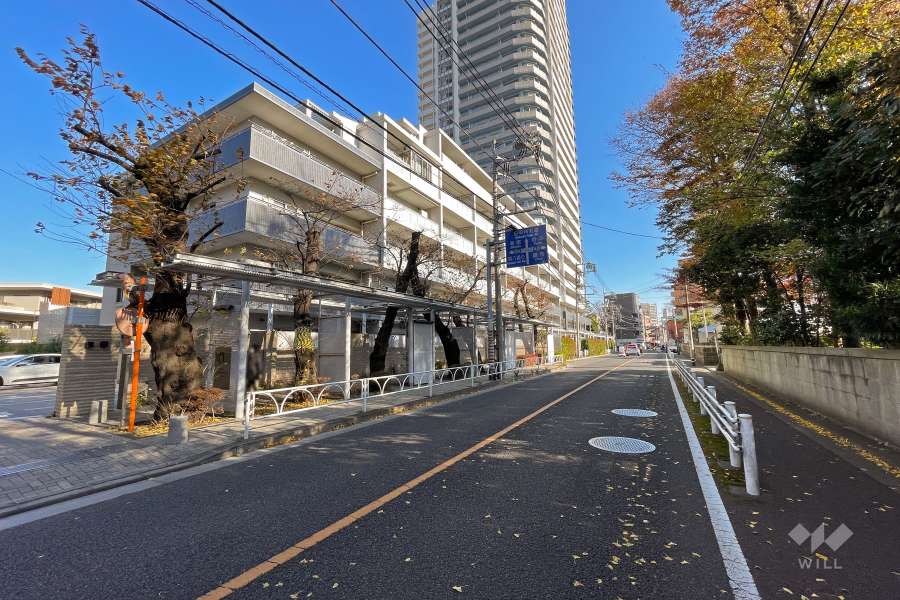 敷地南西側の前面道路（北西側から）