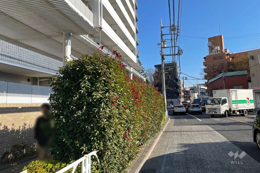 敷地南西側の前面道路（北西側から）