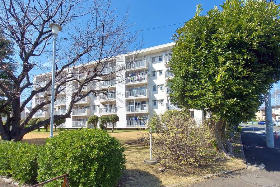 烏山北住宅23号棟外観(南東側から)