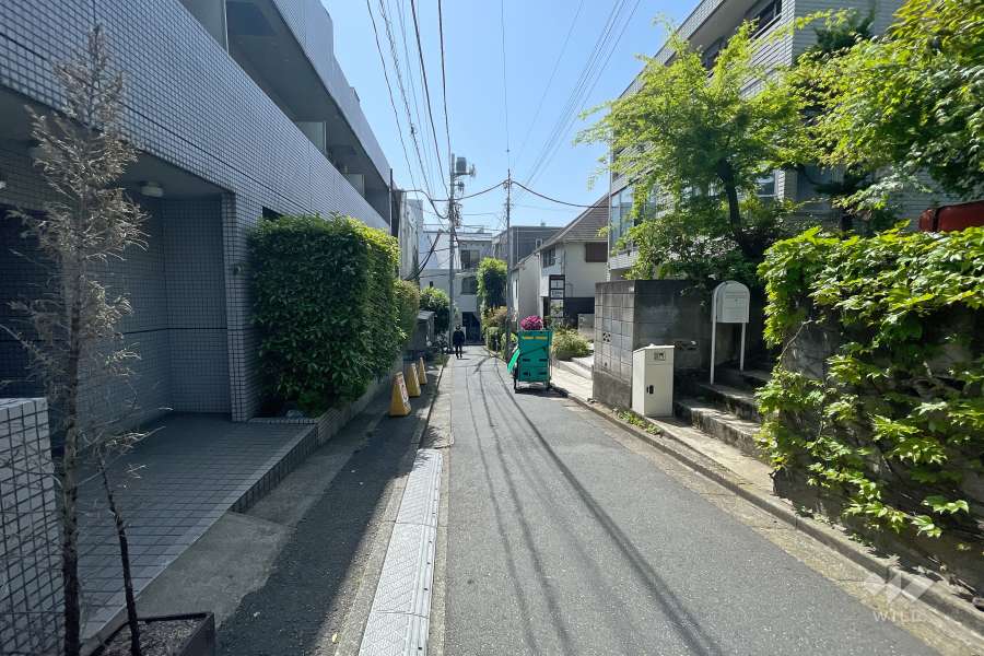 敷地西側の前面道路（北側から）