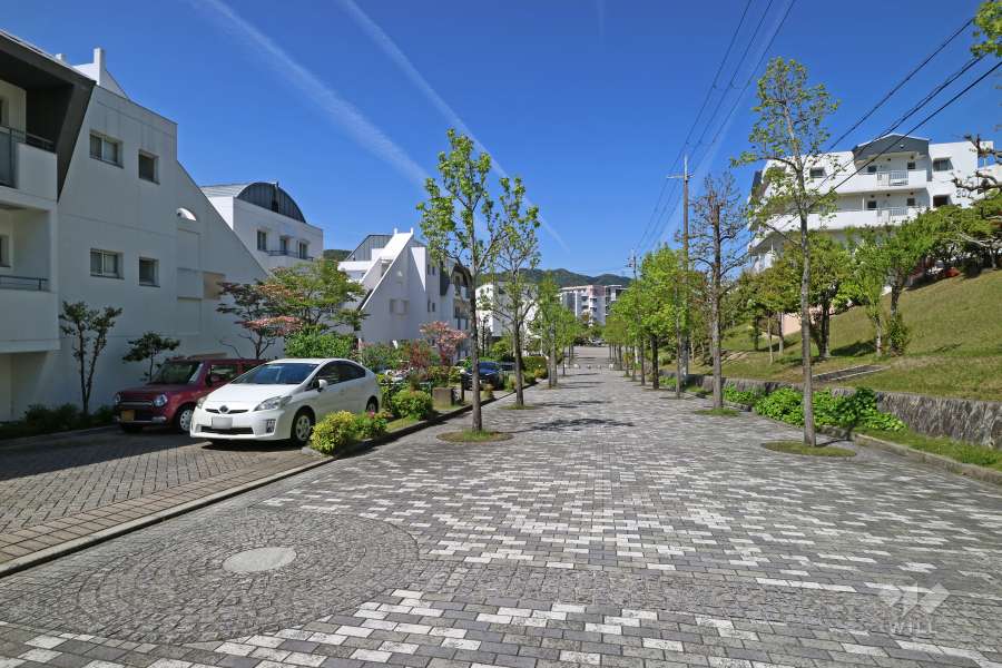 敷地北側の前面道路（西側から）