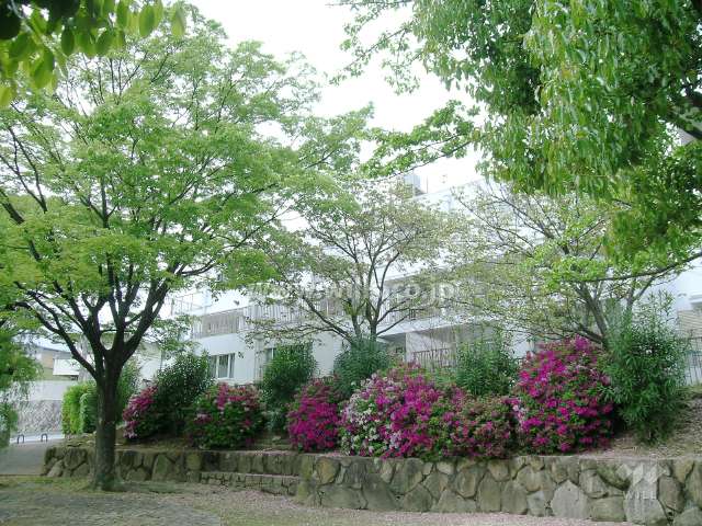 隣接する公園