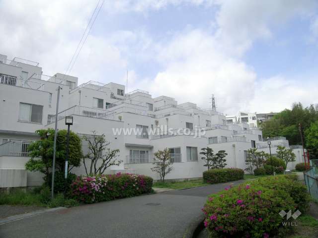 ひな壇型の外観