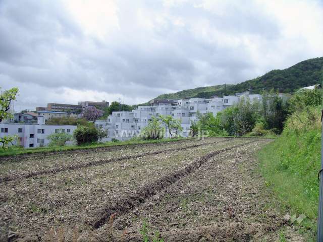 すぐ東側には田畑が広がっています。