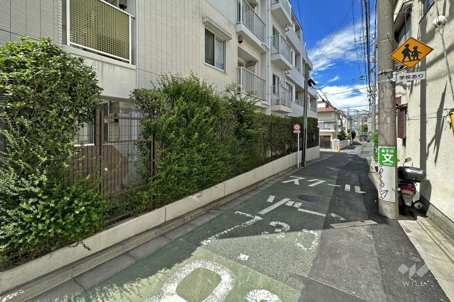 敷地東側の前面道路（南側から）