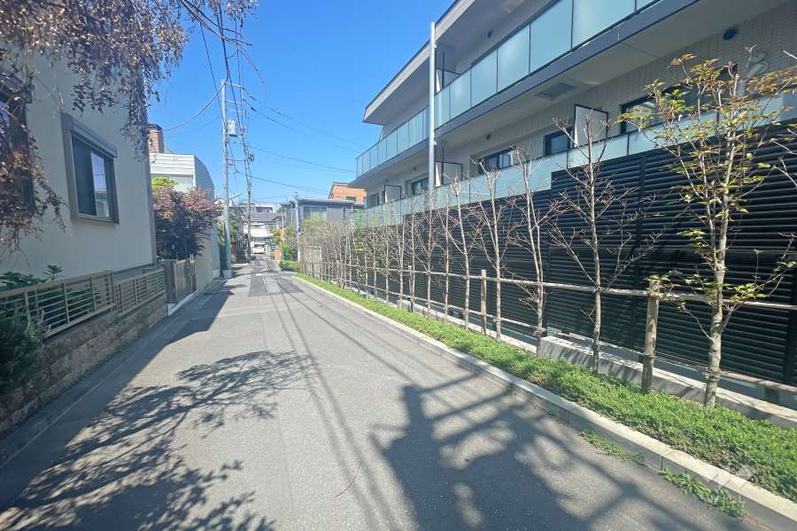 敷地西側の前面道路（南側から）