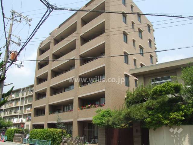 南西側よりマンション全体