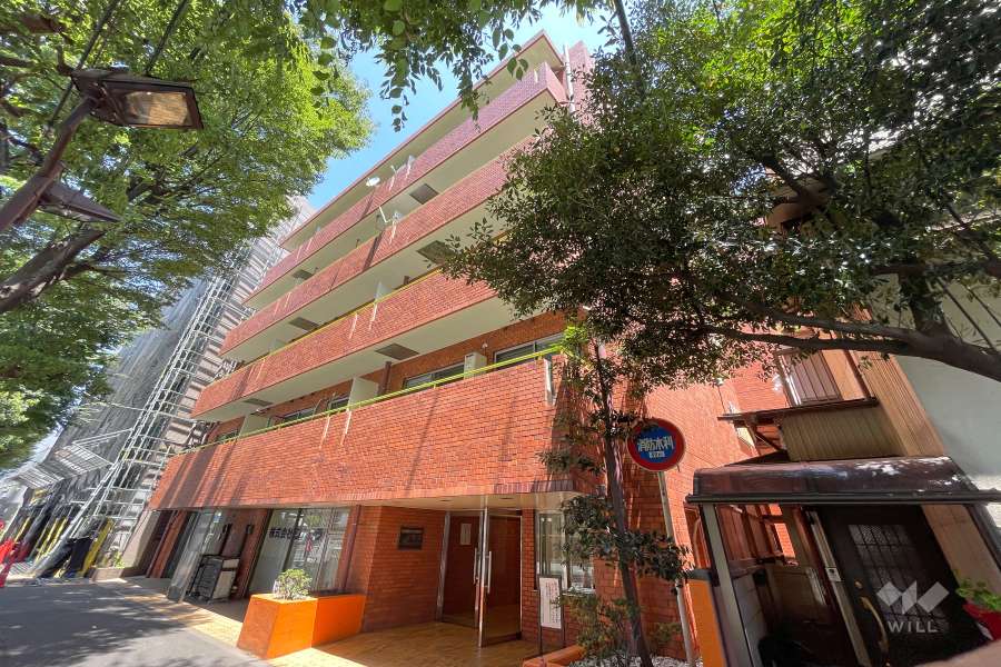 フジタ野沢マンションの外観（南側から）　　