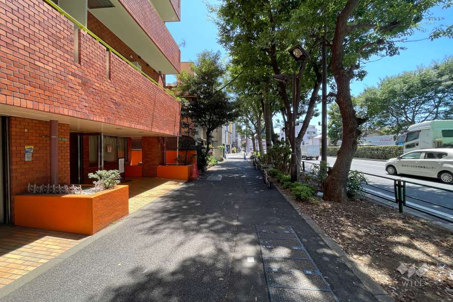 敷地南西側の前面道路