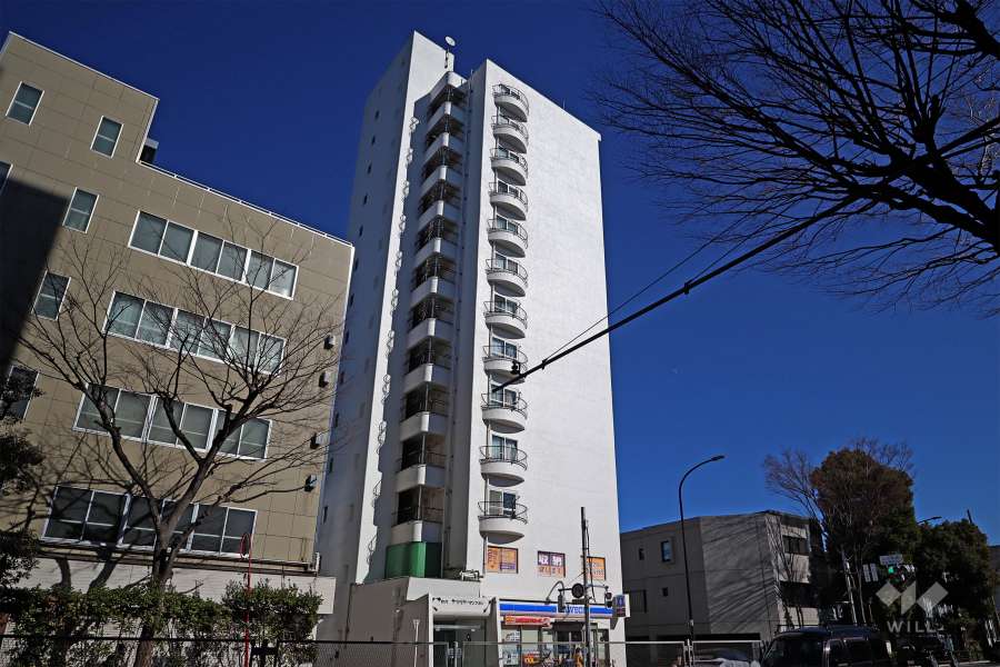 野沢サマリヤマンションの外観(南西側から)