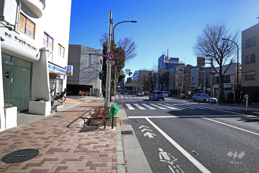敷地南西側の前面道路(北西側から)