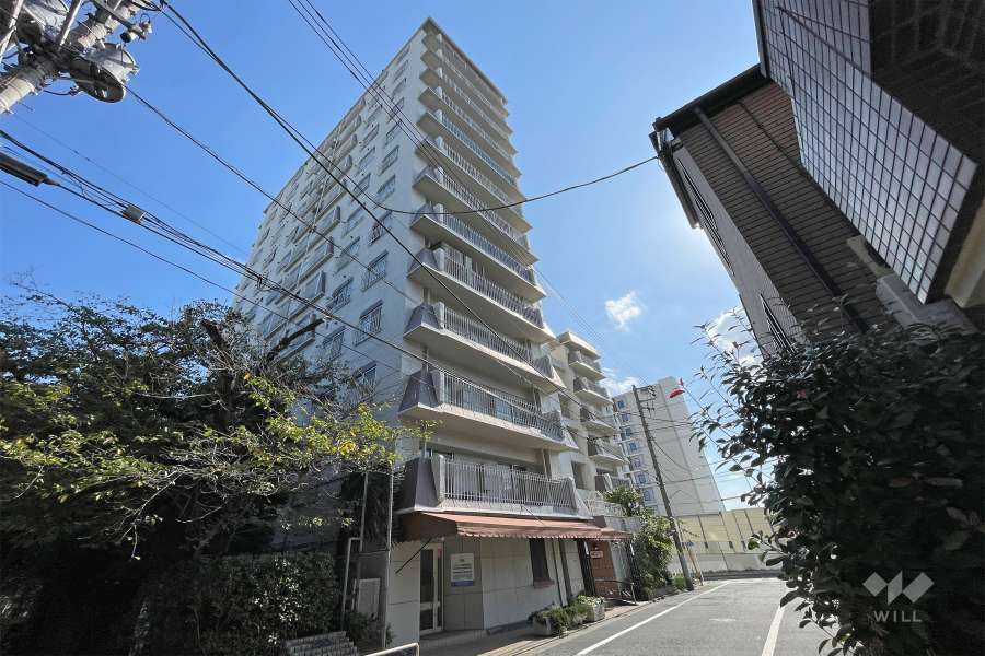 柿の木坂東豊エステートの外観（北側から）