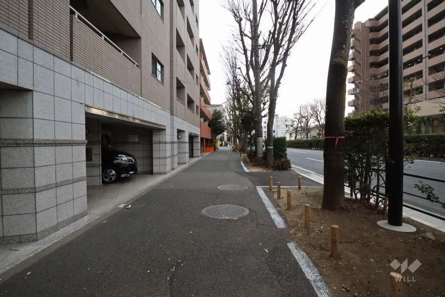 敷地南西側の前面道路(北西側から)