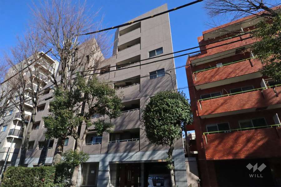 サンスタレ駒沢ファーストコートの外観（南側から）