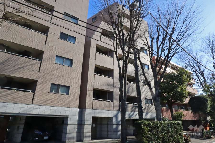 サンスタレ駒沢ファーストコートの外観（西側から）