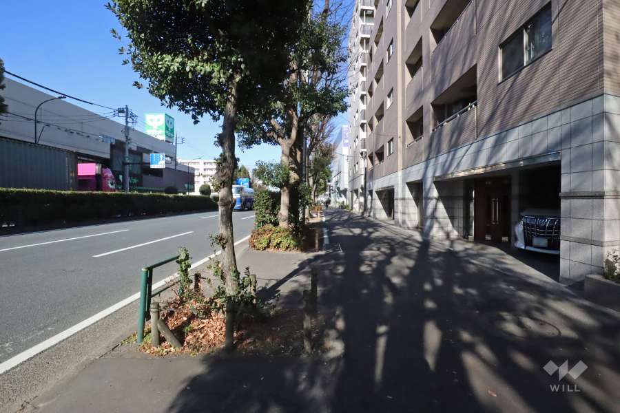 敷地南西側の前面道路