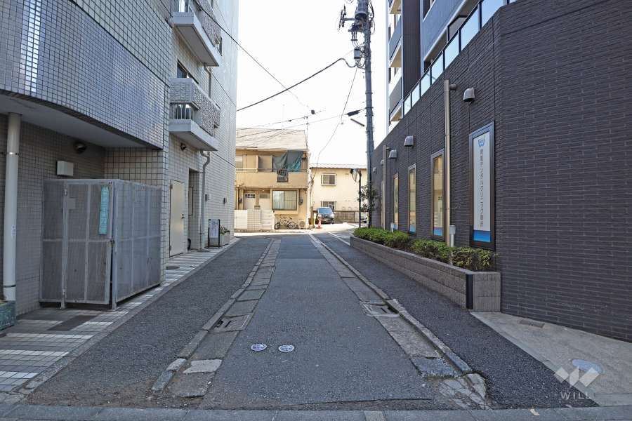 敷地西側の前面道路（北側から）