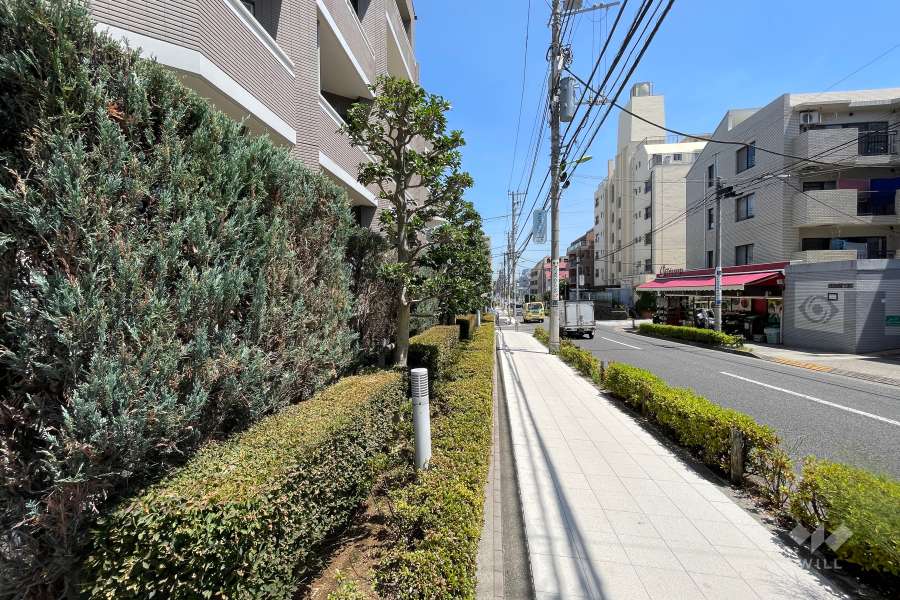 敷地南東側の前面道路（南西側から）