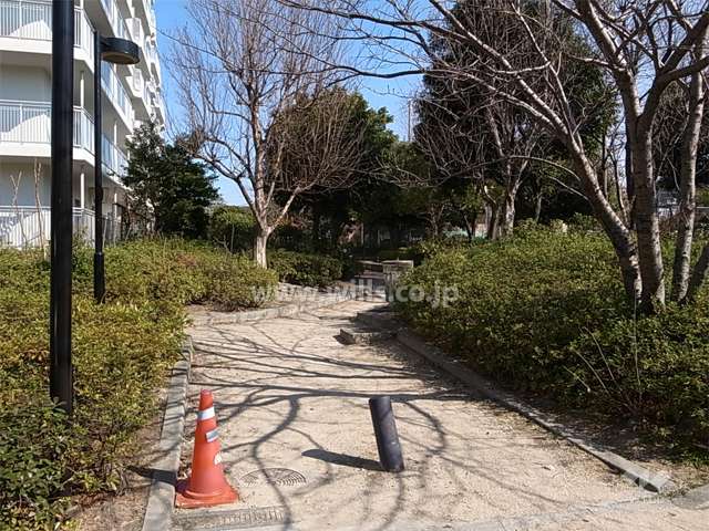 敷地南部分の緑地スペース