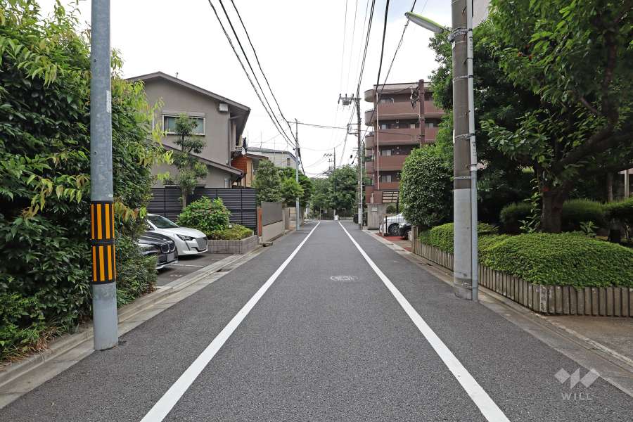 敷地北東側の前面道路（北西側から）