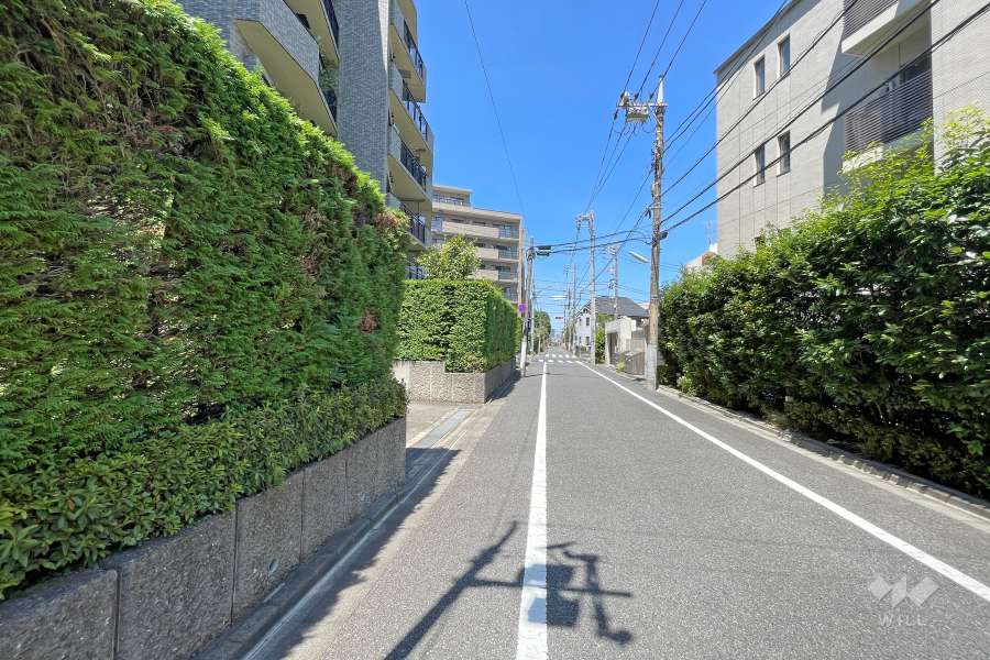 敷地南東側の前面道路（南西側から）