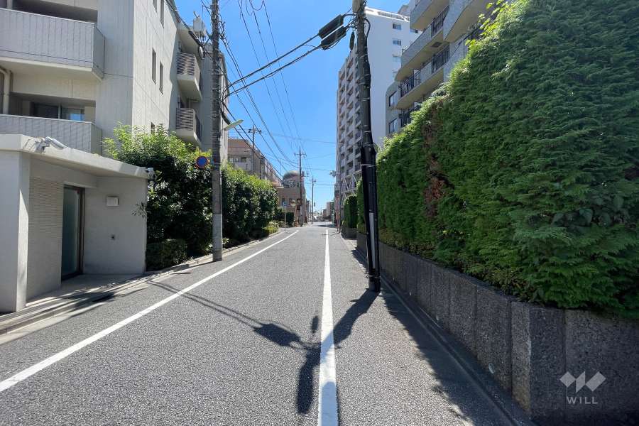 敷地南東側の前面道路（北東側から）