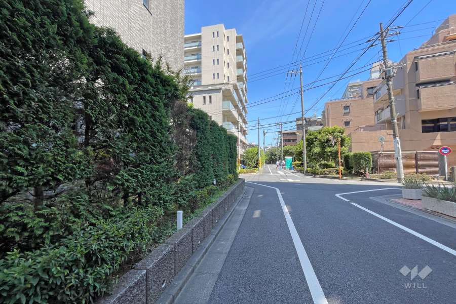 敷地南側の前面道路（西側から）