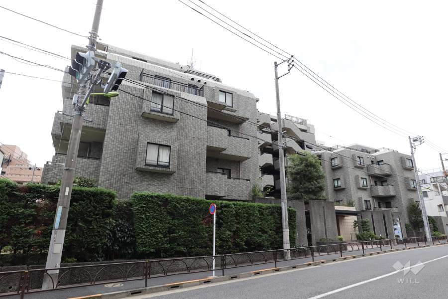 フォルスコート学芸大学の外観（北東側から）