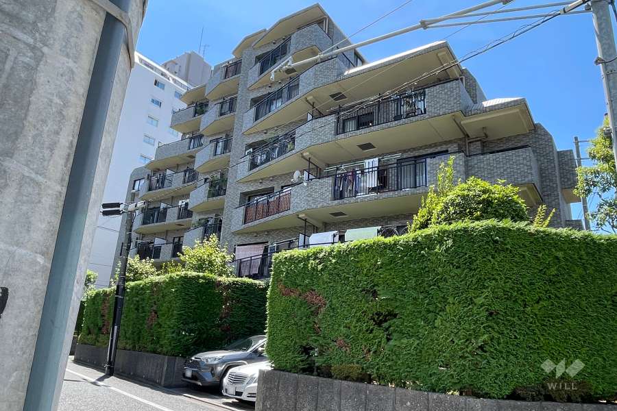 フォルスコート学芸大学の外観（北東側から）