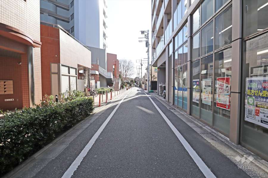 敷地西側の前面道路(北側から)