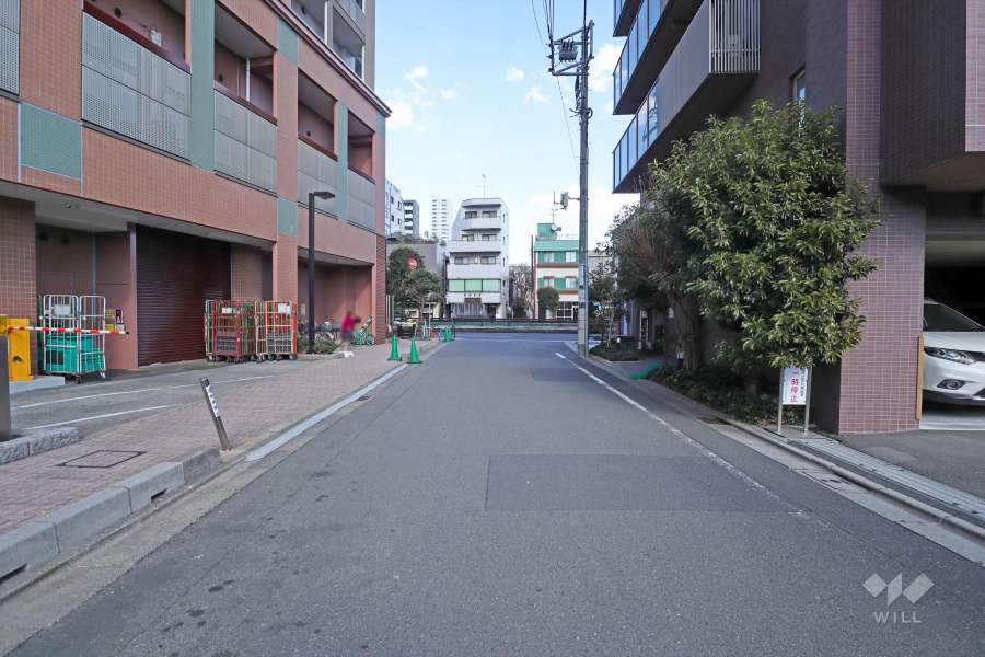 敷地東側の前面道路(南側から)