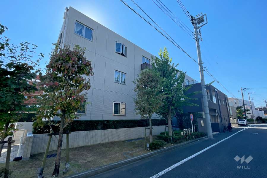 ルフォン学芸大学の外観（北西側から）